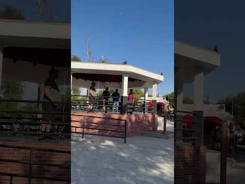 Vídeo